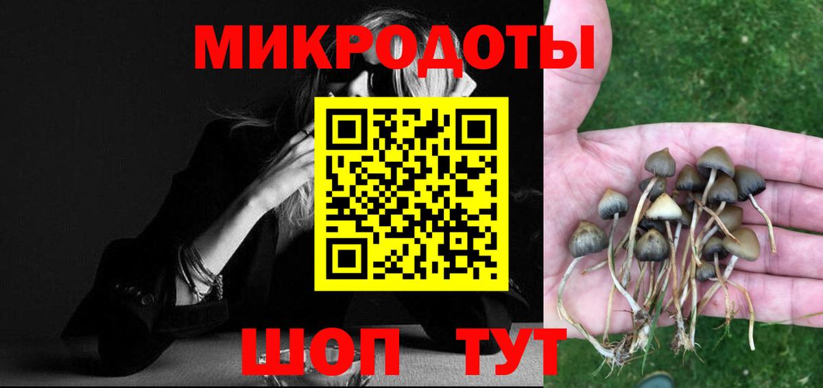 Псилоцибиновые грибы мухоморы  Галлюциногенные грибы Psilocybine cubensis  Саки  Вход с VPN 